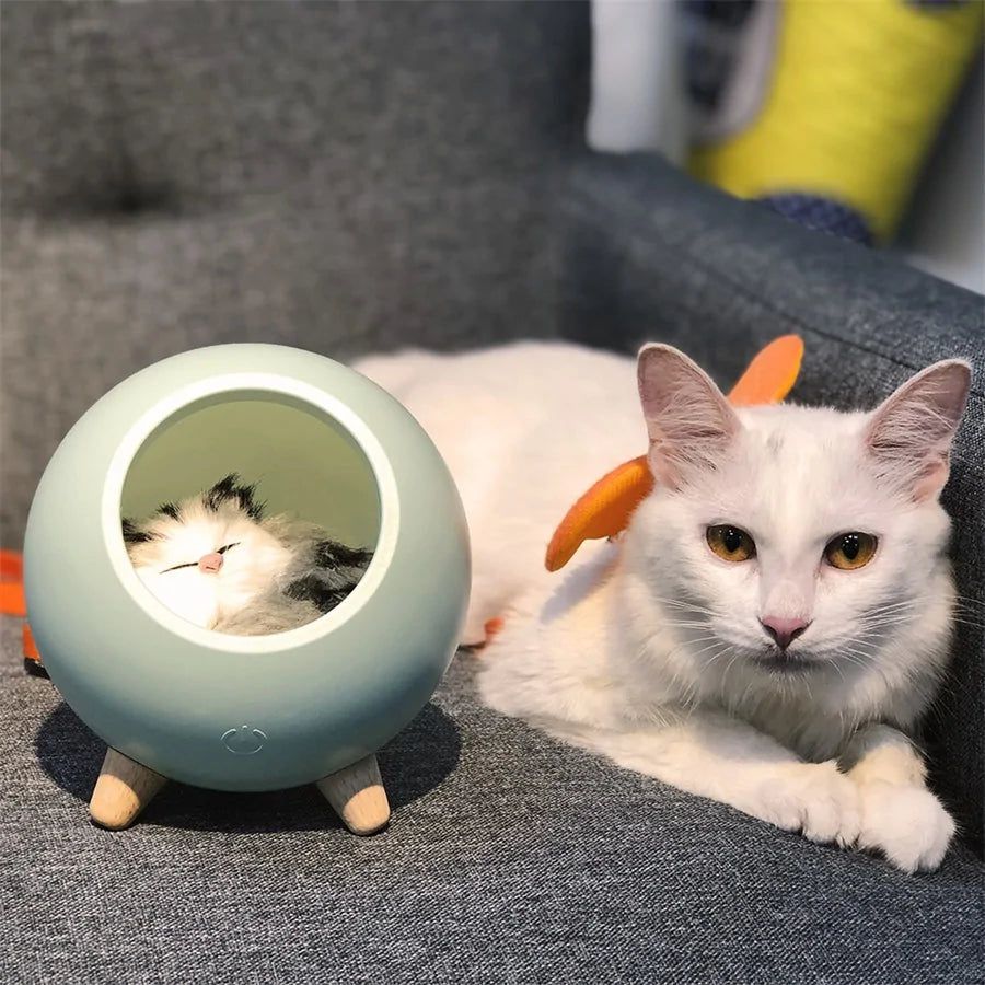 LED Cat Light USB